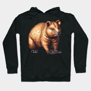 Pixelated Wombat Artistry Hoodie